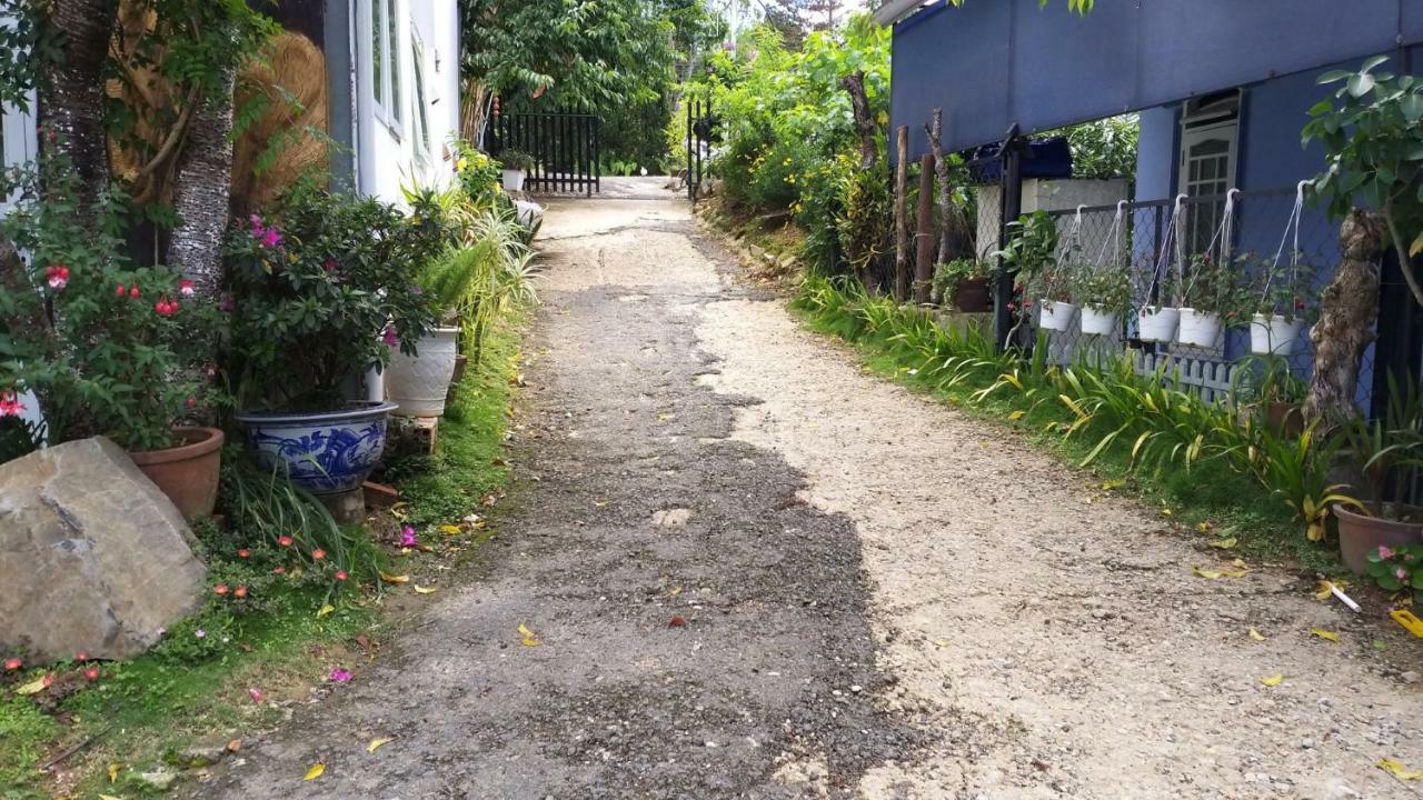 Homestay Doc Tinh 大叻 外观 照片