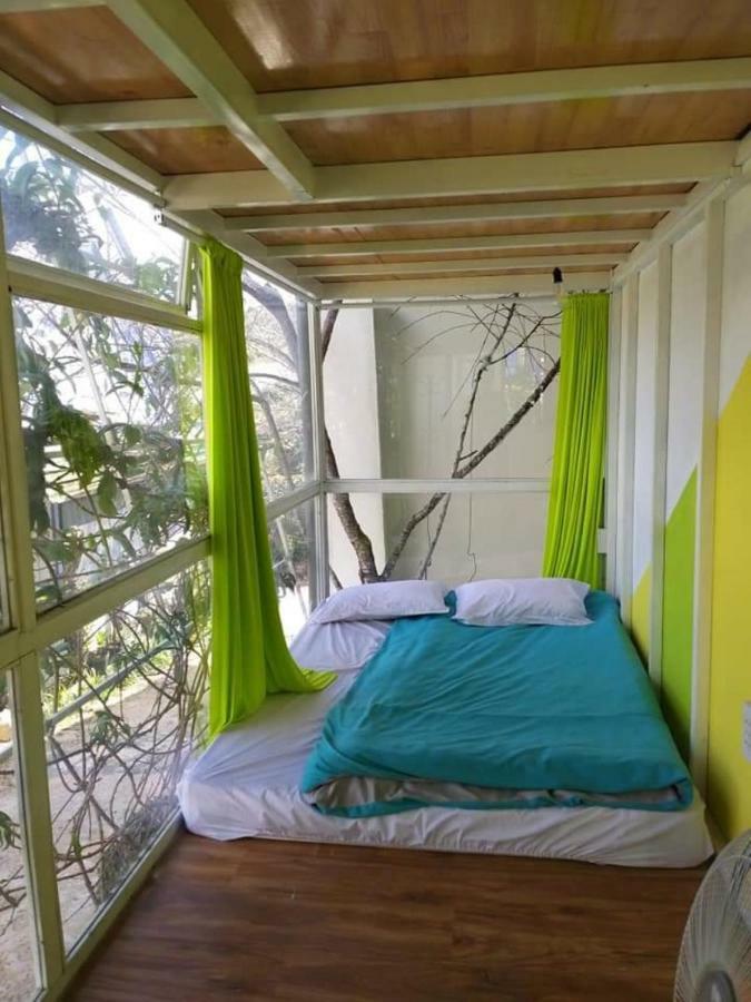 Homestay Doc Tinh 大叻 外观 照片